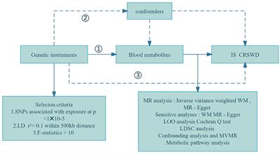 Investigation of causal effects of blood metabolites on insomnia and circadian rhythm sleep wake disorders